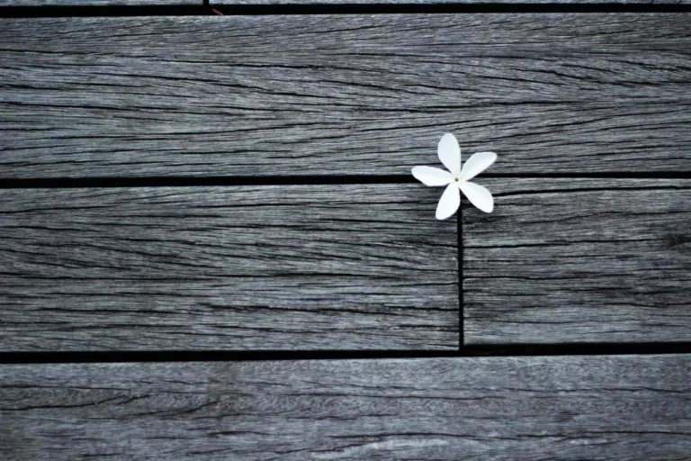 flower on a wood