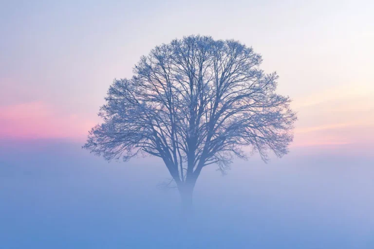 How to Stop Masturbating