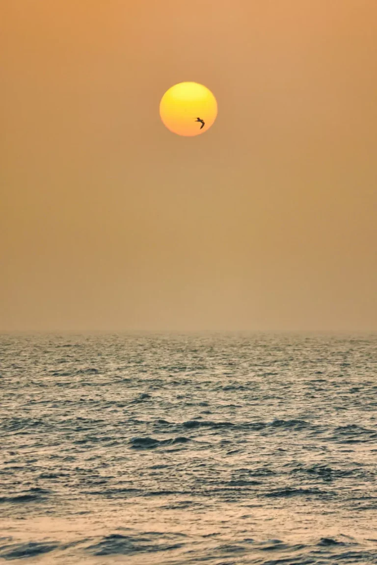 7 Mistakes That Keep Smart People Average