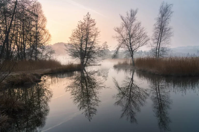 How to Easily Overcome Social Anxiety