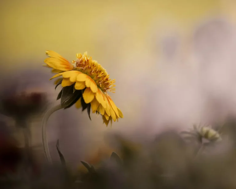 How to Quiet Sexual Thoughts Gently