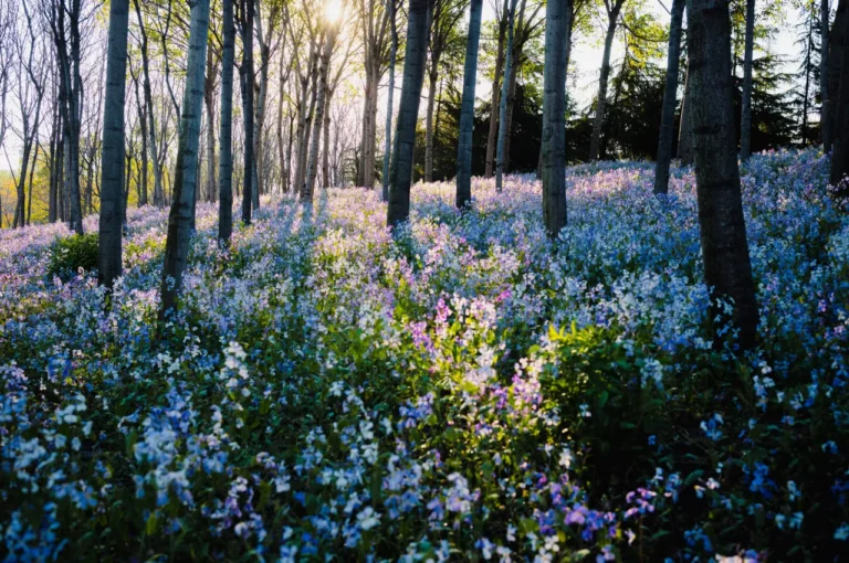 Every Common Cause of Death & How to Avoid It