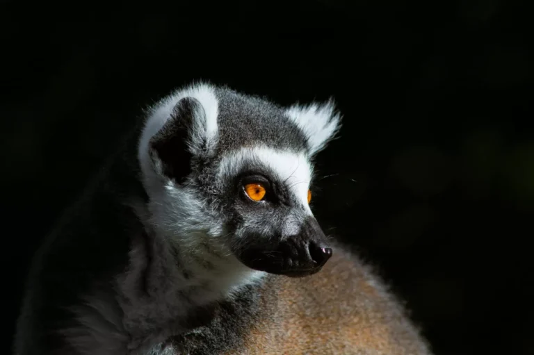 Your Life as Every Type of Personality Disorder