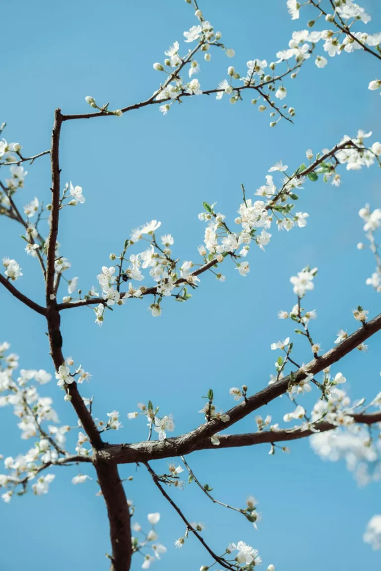 7 Signs You’re Healing From Trauma Even If It Doesn’t Feel Like It