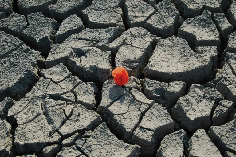 Psychology of Resilience