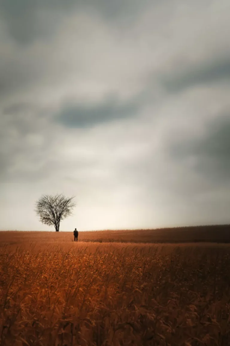 A Timeline of Your Life: When You Peak in Life