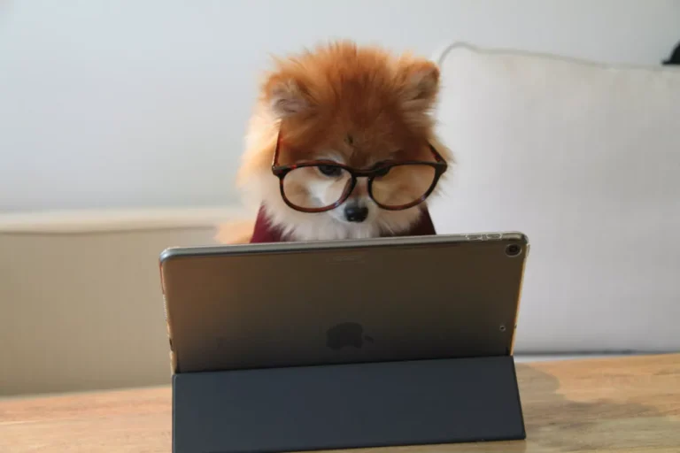 The Secret Test Every Company Runs on You